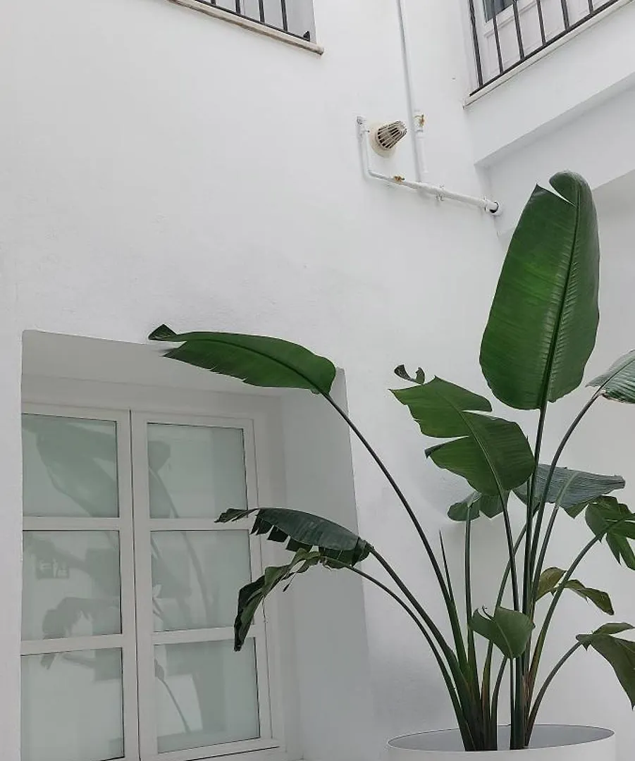 El 2 De Flamenco 1ºa Apartment Cadiz